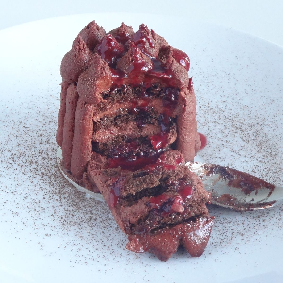 Mini Biscuit Cake with Raspberry Sauce