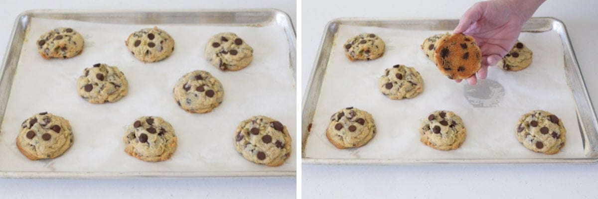 NYC Bakery Style Cookies Cupcake Savvy (5)