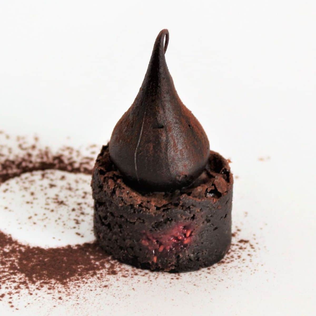 Raspberry Chocolate Fudge Brownie Bites