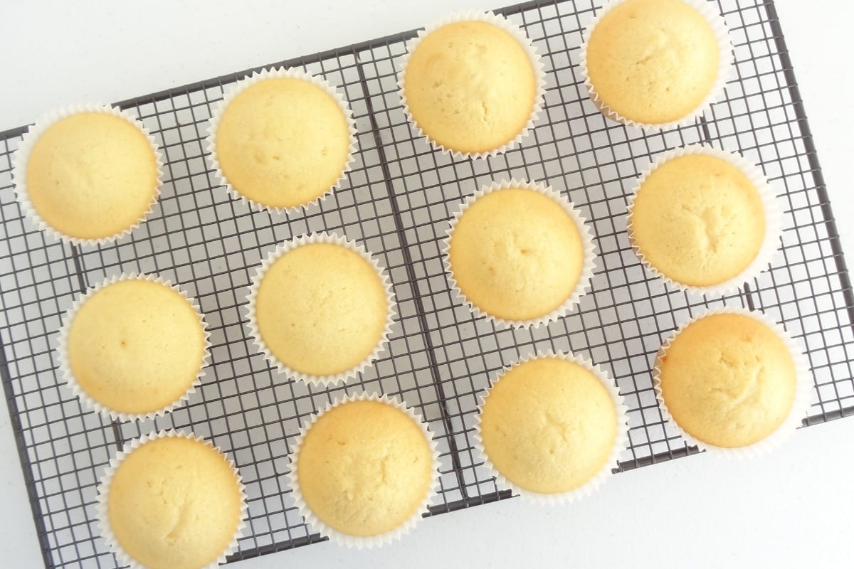 Vanilla Cupcakes Cupcake Savvy