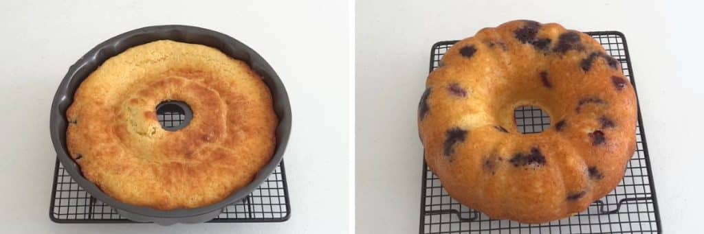 lemon ricotta blueberry cooling