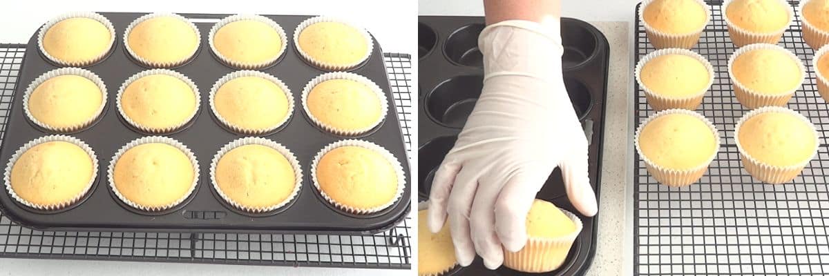 vanilla cupcake recipe