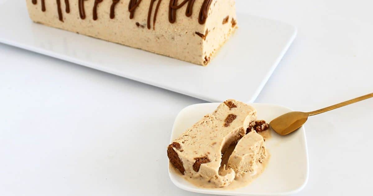 Biscoff Ice Cream Log (10)