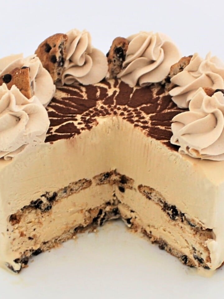 Cappuccino Coffee Ice Cream Cake 1