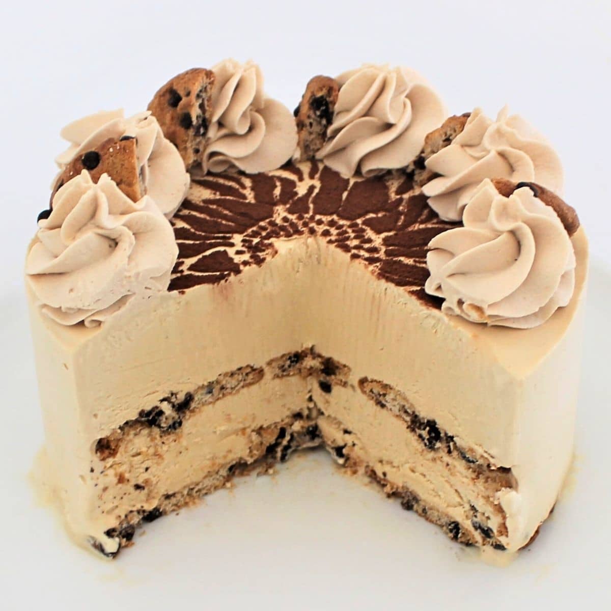 Cappuccino Coffee Ice Cream Cake 1