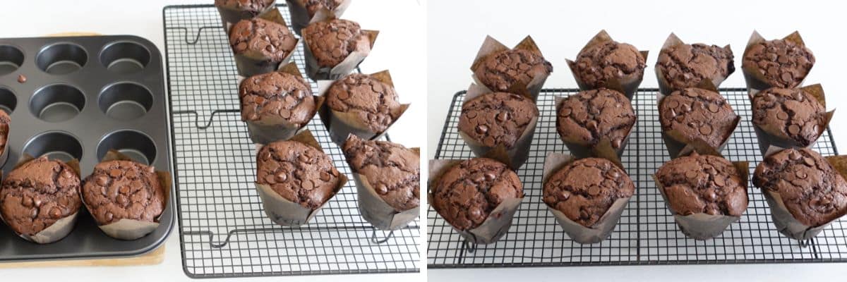 Jumbo Chocolate Chip Muffin Recipe Cupcake Savvy (3)