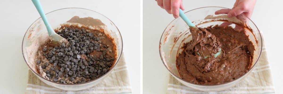 Jumbo Chocolate Chip Muffins Cupcake Savvy (3)