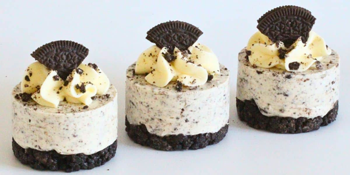 mini cheesecakes cupcake savvy