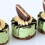 Mint Chocolate Chip Mini Cheesecakes Cupcake Savvy