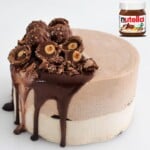Nutella Ice Cream Cake Cupcake Savvy