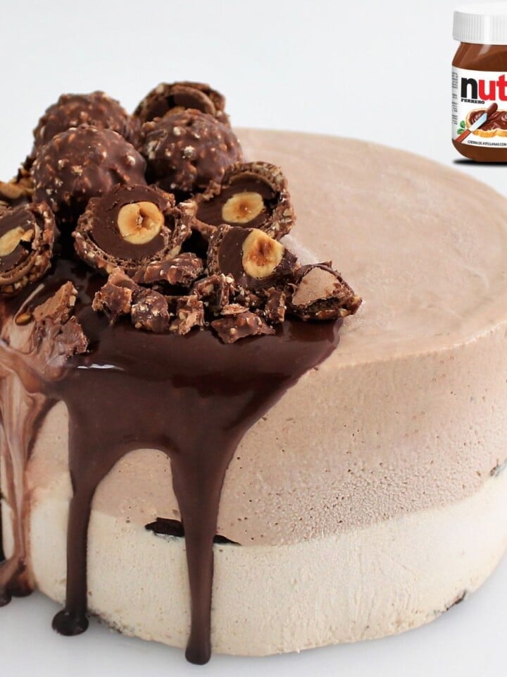 Nutella Ice Cream Cake Cupcake Savvy