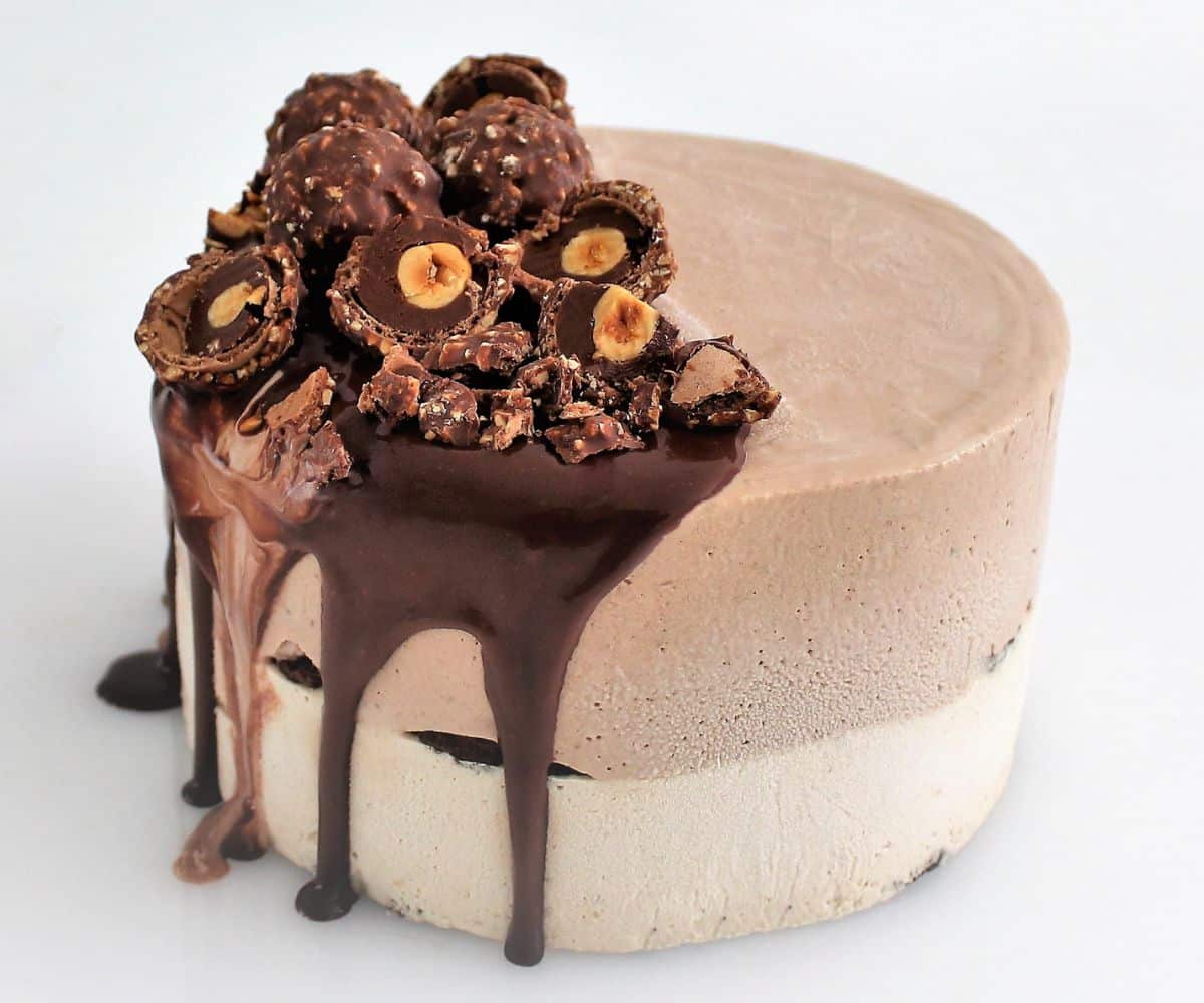 Nutella ice cream cake Cupcake Savvy (11)