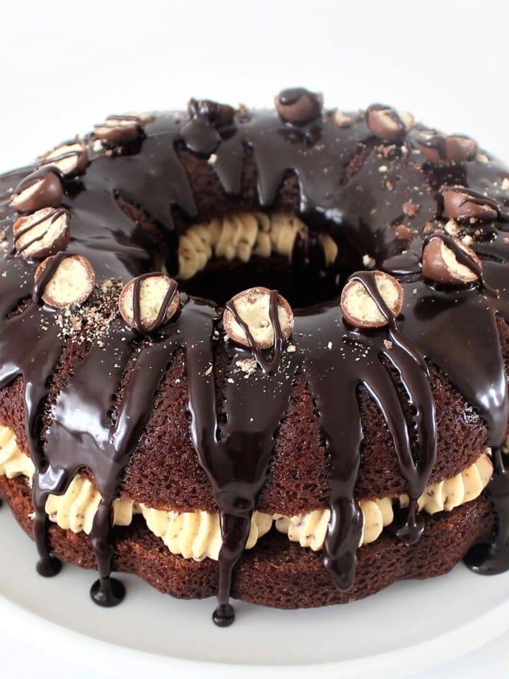 Chocolate Bundt Cake Recipe Cupcake Savvy