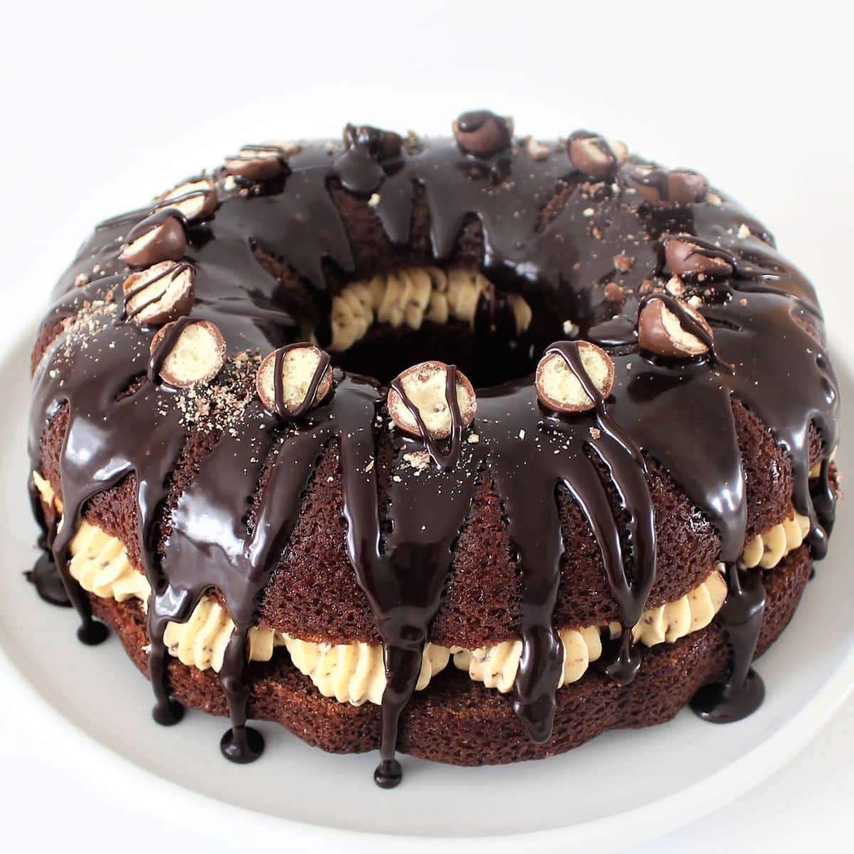 Chocolate Bundt Cake Recipe Cupcake Savvy