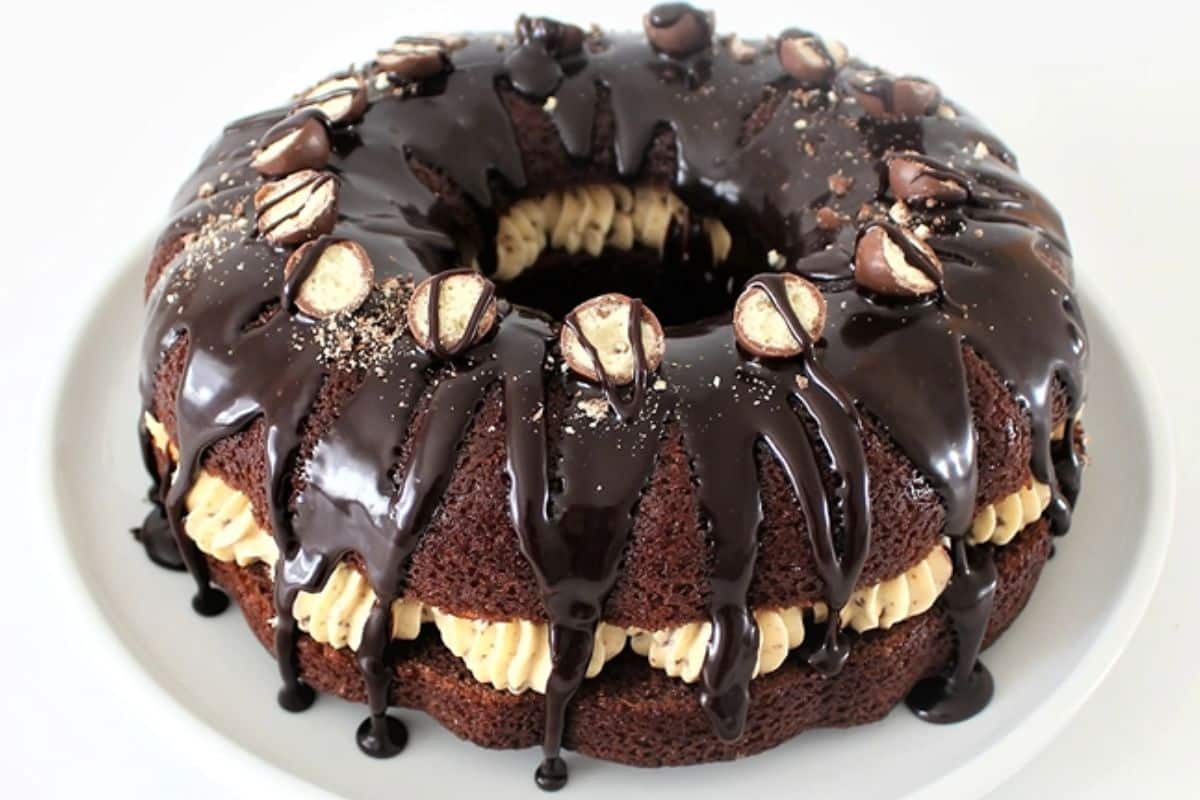 Chocolate Bundt Cake Serving Cupcake Savvy