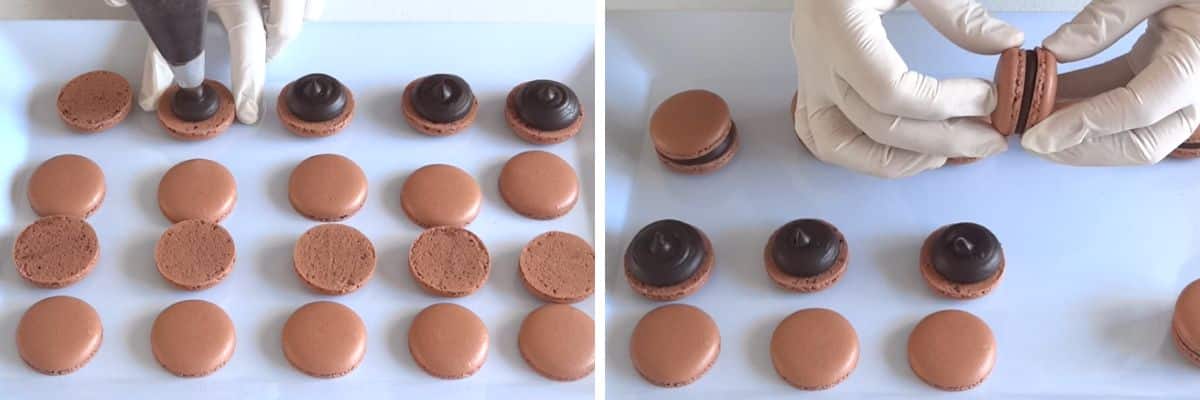 Chocolate French Macarons Filling Cupcake Savvy