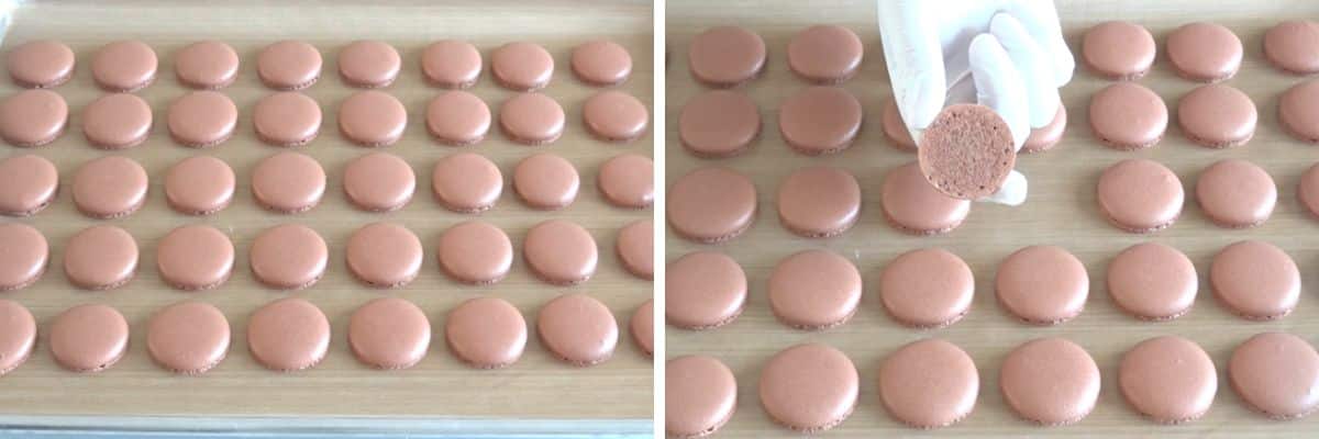 Chocolate French Macarons Piping Cupcake Savvy (1)