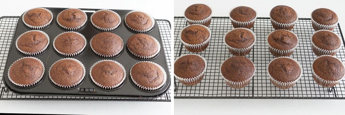 Chocolate Cupcakes With Chocolate Buttercream Cupcake Savvy (3)