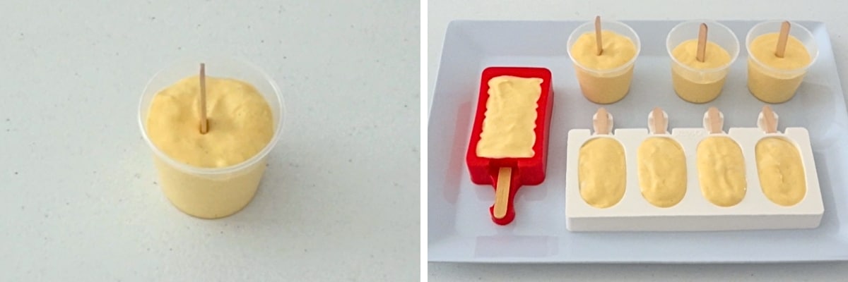 Mango Yoghurt Popsicles Cupcake Savvy (3)