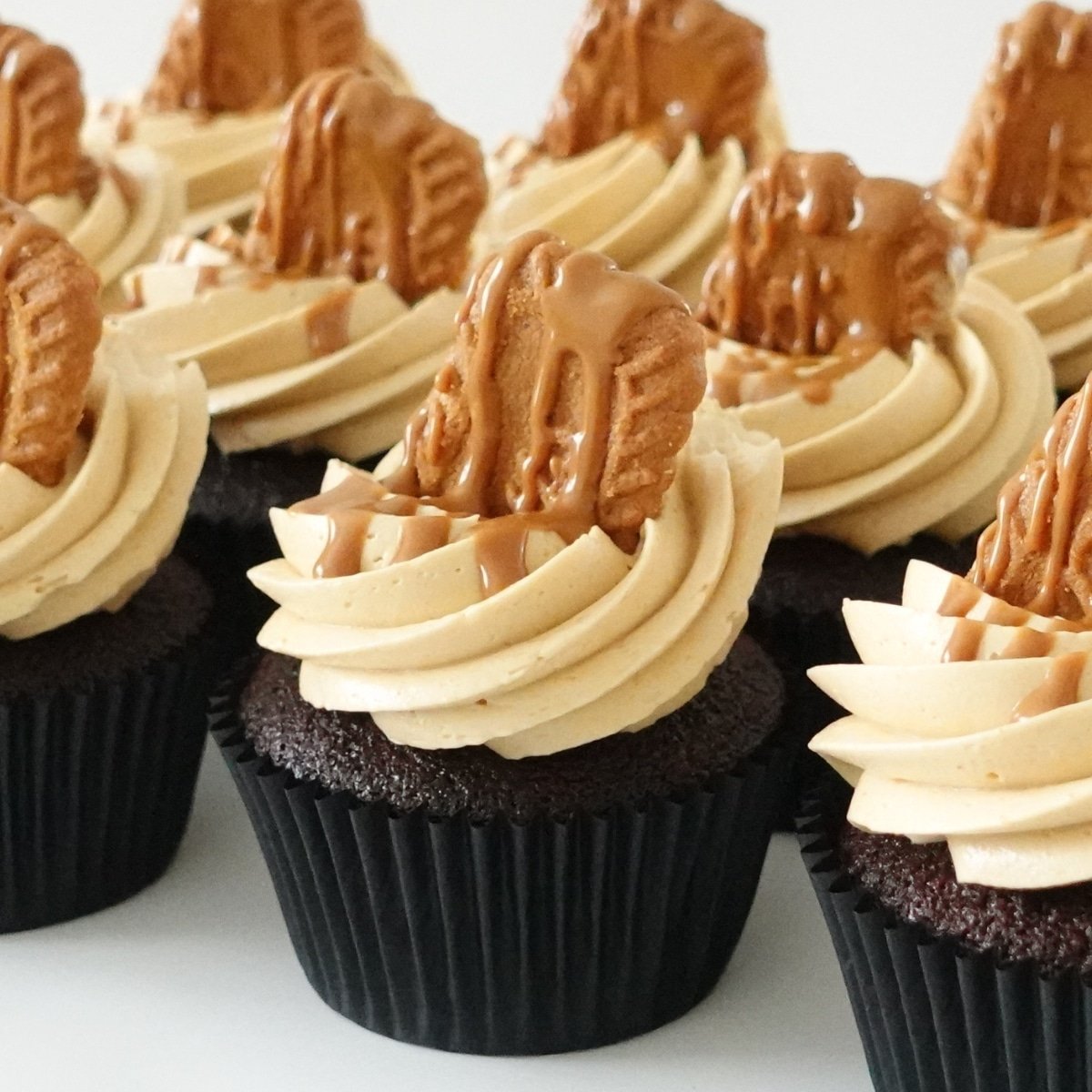 Biscoff Cupcakes Cupcake Savvy