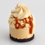Mini Caramel Chesecakes Cupcake Savvy 1