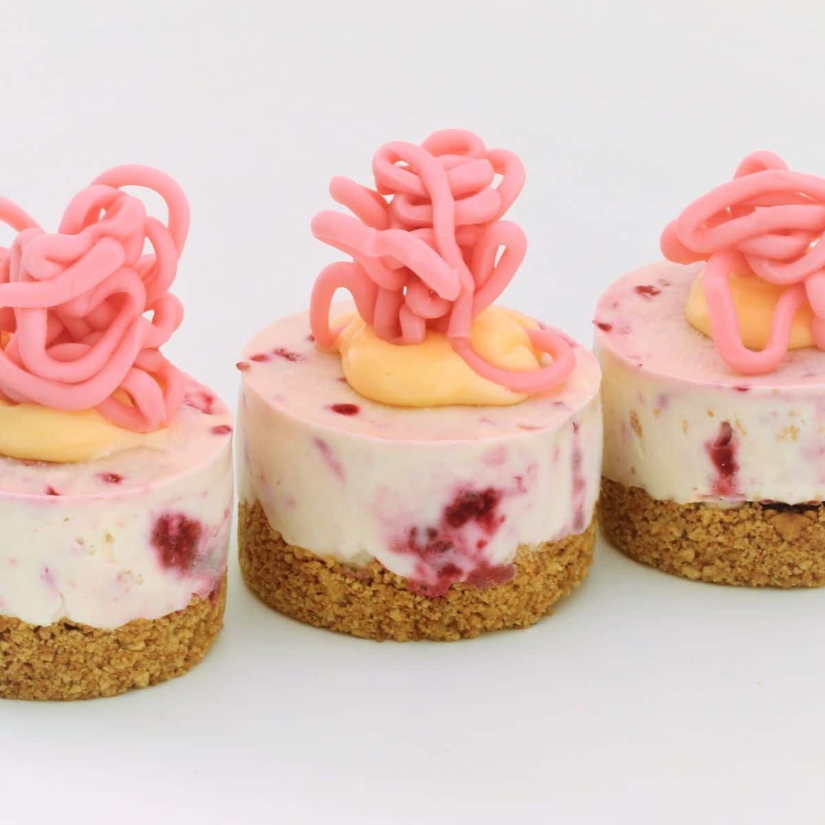 White Chocolate and Raspberry Mini Cheesecakes Cupcake Savvy