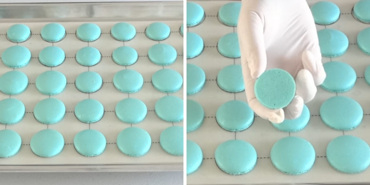 Bounty French Macarons Cupcake Savvy (11)