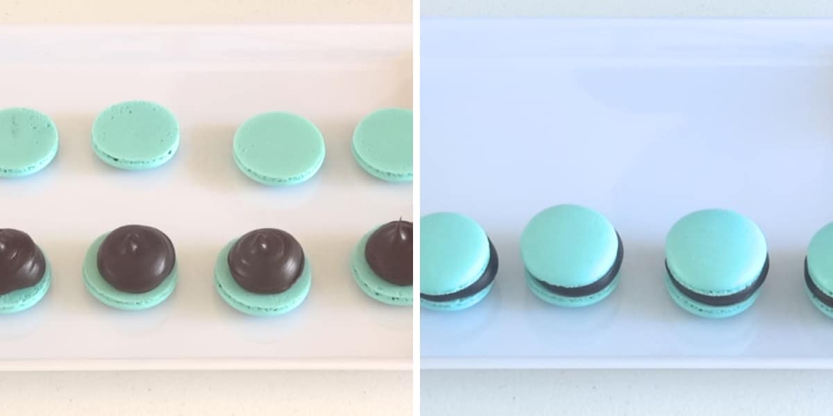 Bounty French Macarons Cupcake Savvy (15)