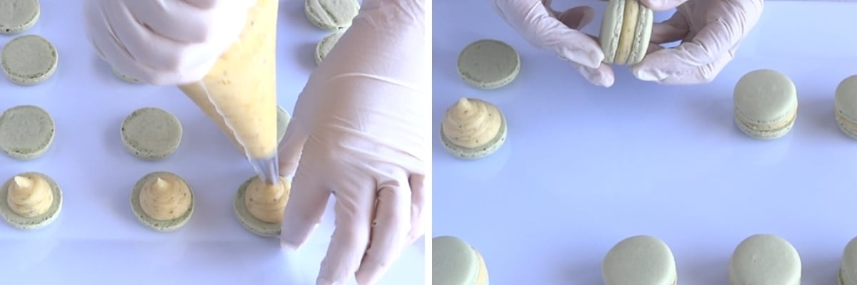 Pistachio French Macarons Cupcake Savvy (13)