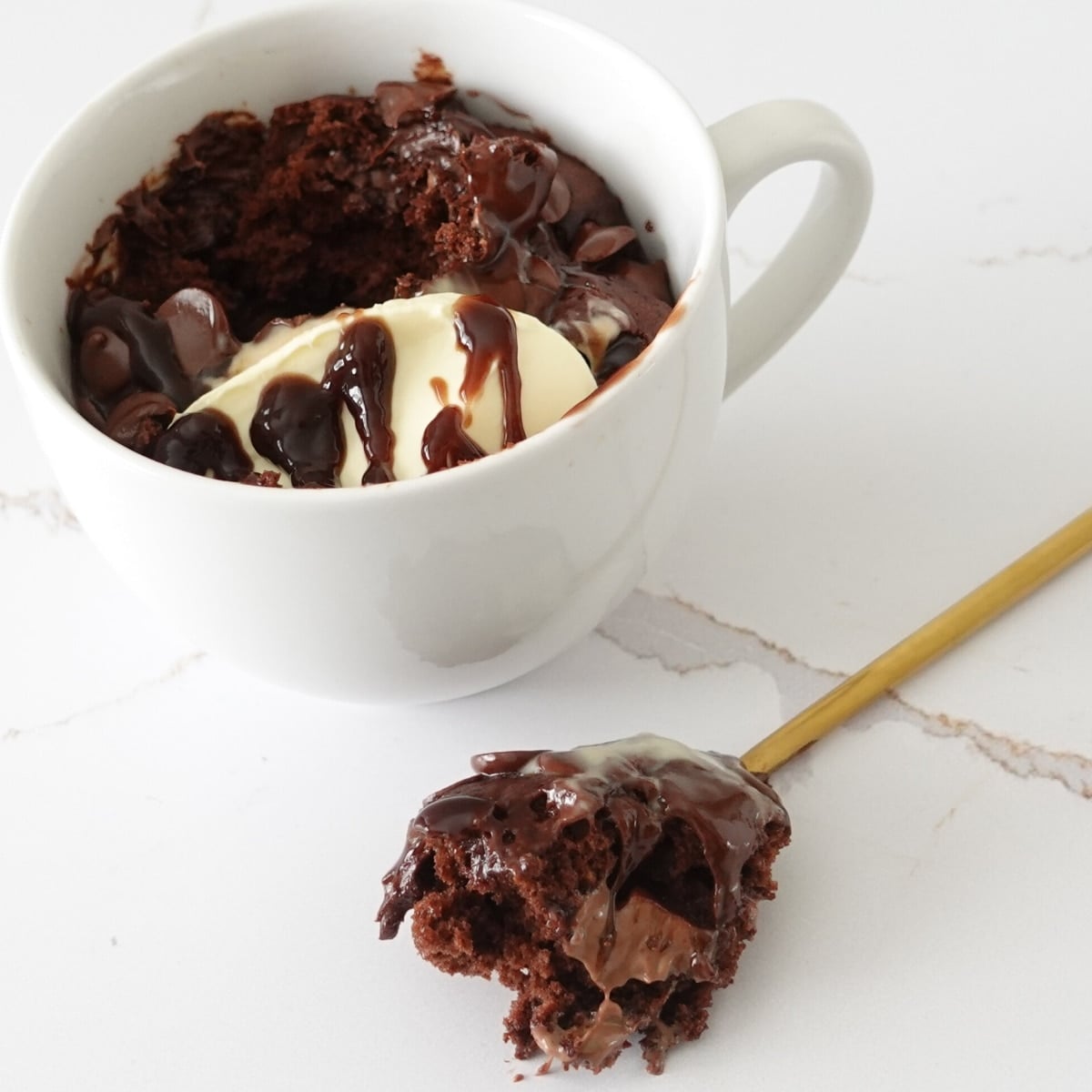 Chocolate Mug Cake Cupcake Savvy