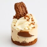 Mini No Bake Biscoff Cheesecakes Cupcake Savvy