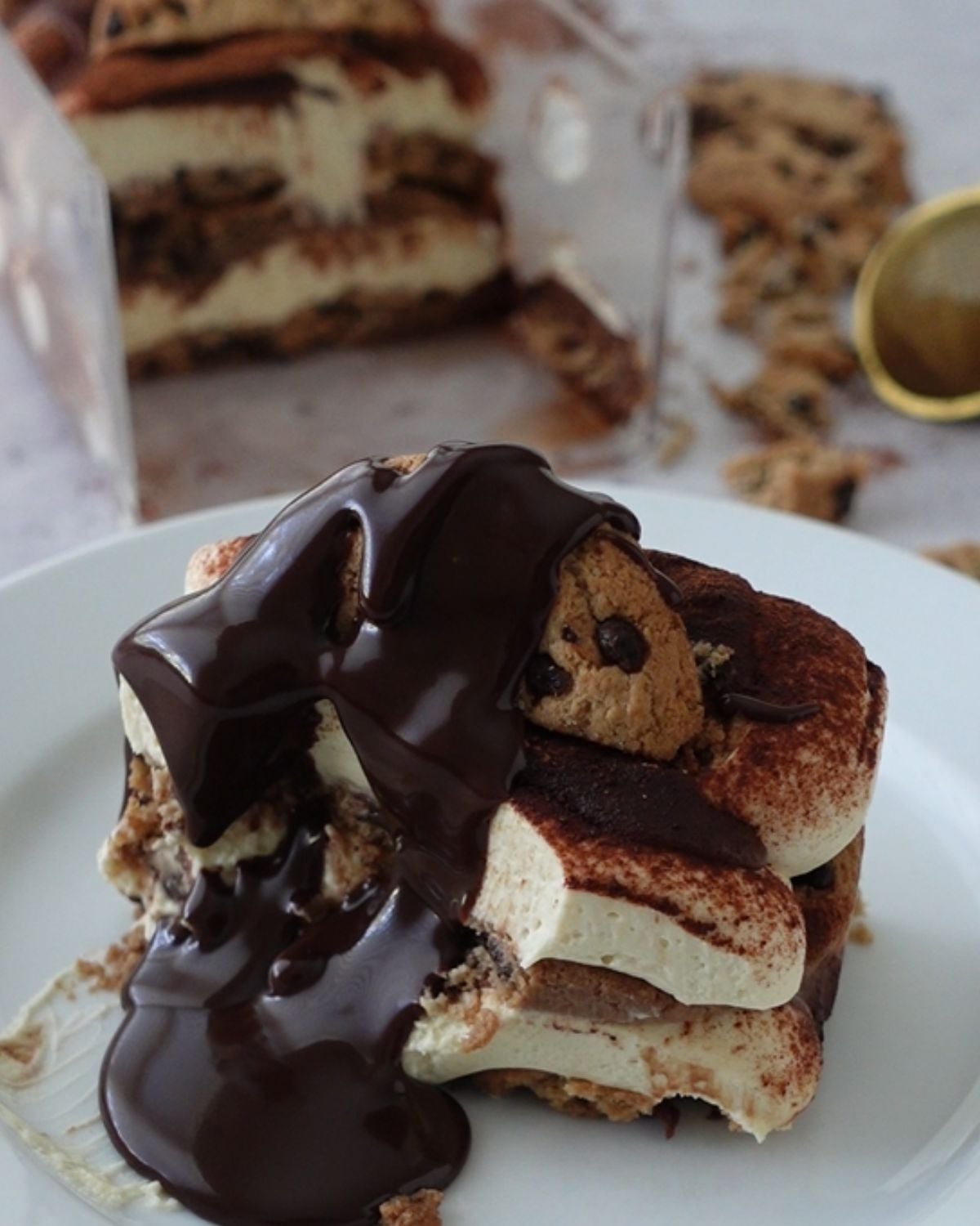 Slice of chocolate chip tiramisu cheesecake with chocolate ganache dripping down the side